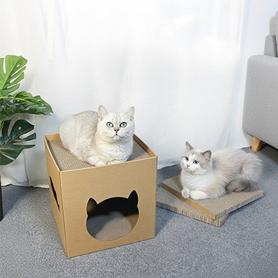 maison en carton pour chat avec chats 