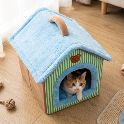 maison pour chat bleu vert avec chat allongé curieux 