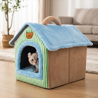 maison pour chat bleu vert avec chaton curieux 