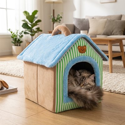 maison pour chat bleu vert avec gros chat endormi