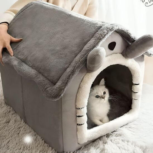maison pour chat lapin avec chaton dedans
