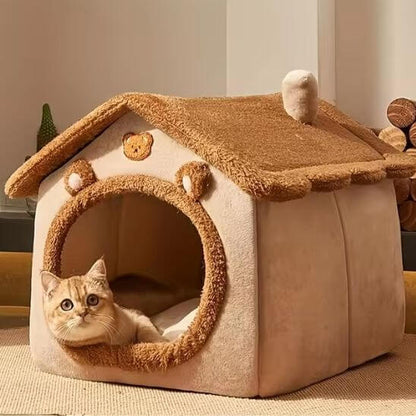 maison pour chat ours avec chat curieux