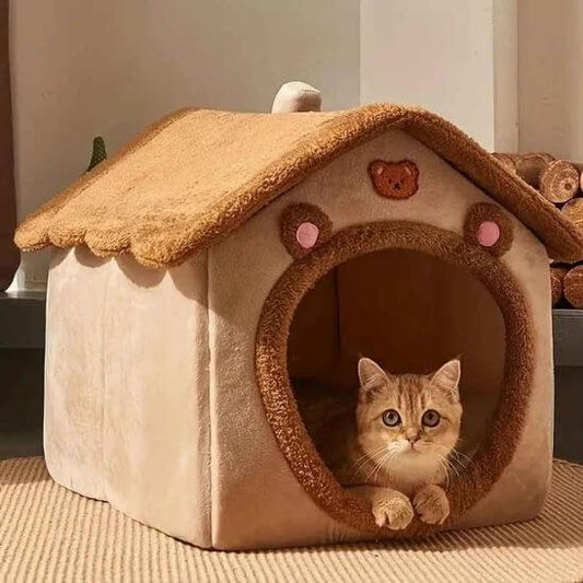 maison pour chat ours avec chat dedans
