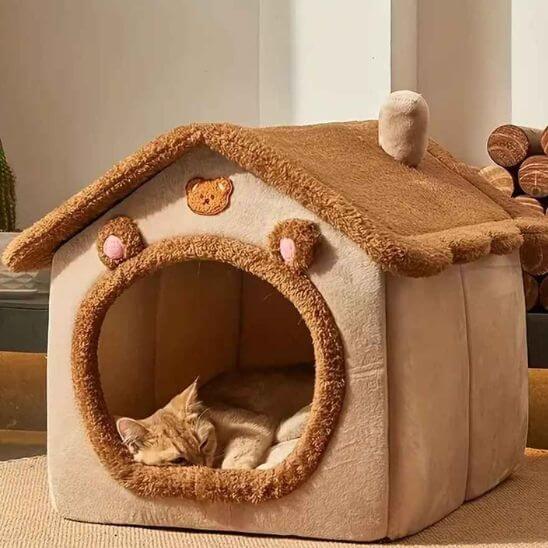 maison pour chat ours avec chat qui dort
