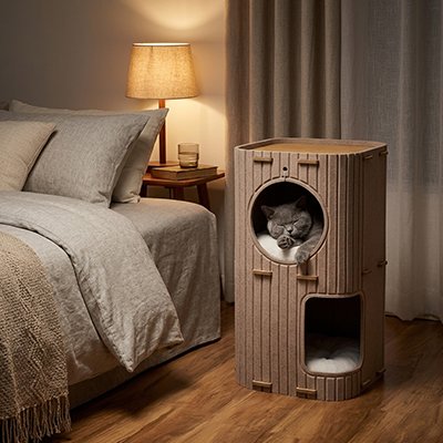niche à chat beige deux couchages avec chat endormi 