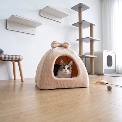 niche à chat beige triangle arrondi chat curieux 