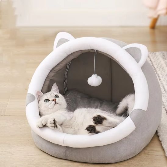 niche à chat semi-ouverte avec chat allongé