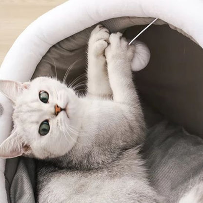 niche à chat semi-ouverte avec chat jouant