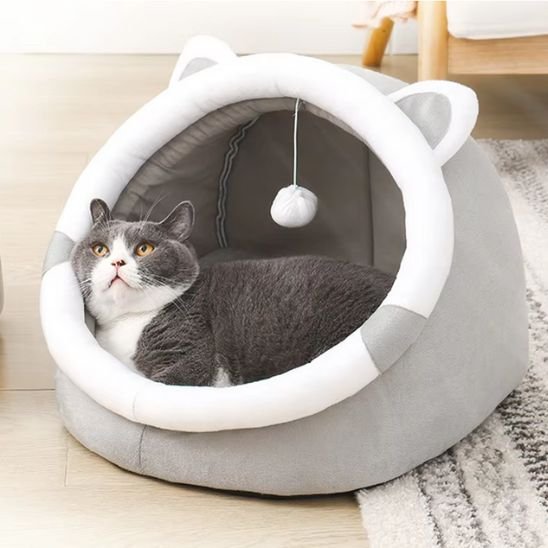 niche à chat semi-ouverte avec chat tranquille