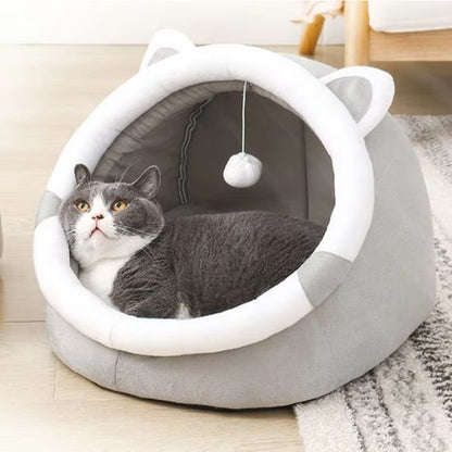 niche à chat semi-ouverte avec chat tranquille