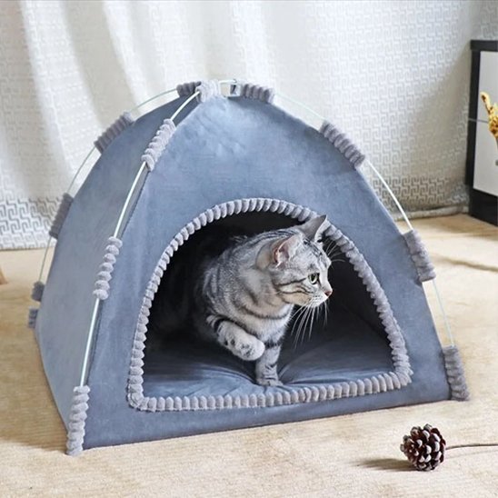 niche à chat tente confort gris clair avec chat curieux 