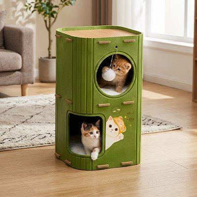 niche à chat verte deux couchages à étage avec chats 