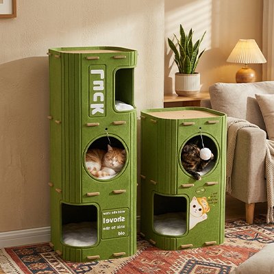 niche à chat verte plusieurs couchages à étage avec chats 2
