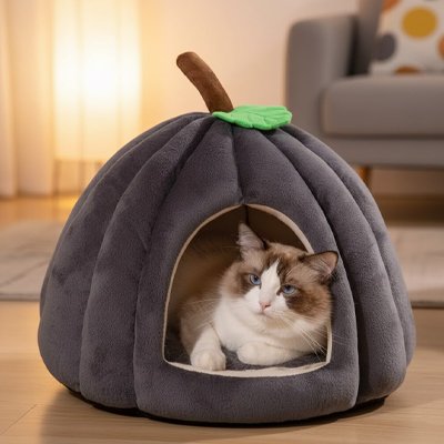 niche pour chat citrouille gris avec chat 