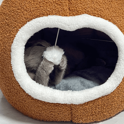 niche pour chat oreilles ours marron avec chat qui joue 