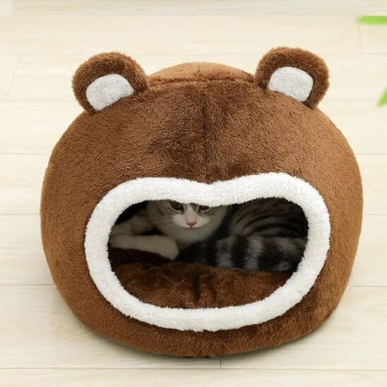 niche pour chat ours vue de haut 