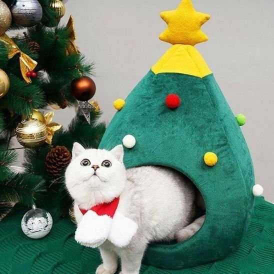 niche pour chat sapin festif avec chat blanc