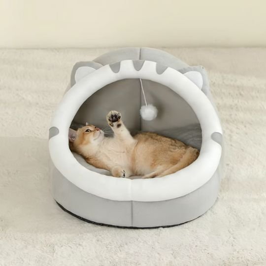 niche pour chat semi-fermée chat gris avec chat jouant                        