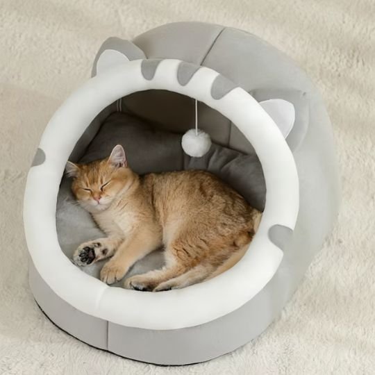 niche pour chat semi-fermée chat gris avec chat qui dort                          