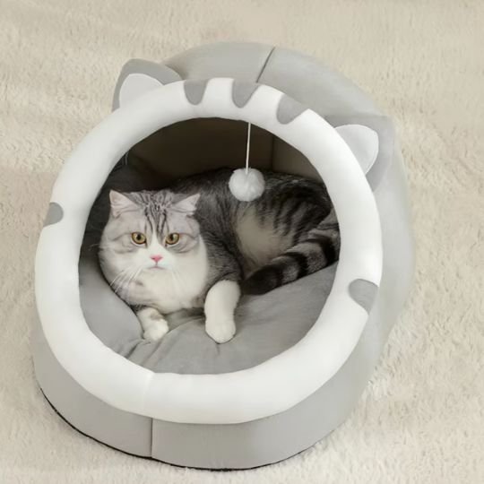 niche pour chat semi-fermée chat gris avec chat                                              