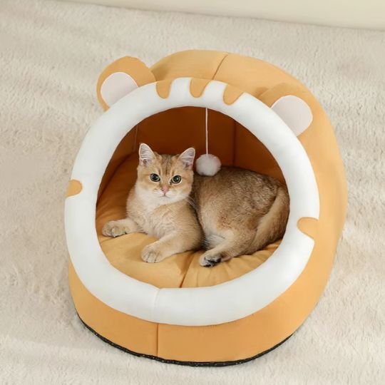 niche pour chat semi-fermée tigre orange avec chat                                                  