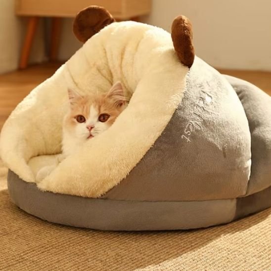 niche pour chat semi-ouverte grise avec cornes marron et chat 