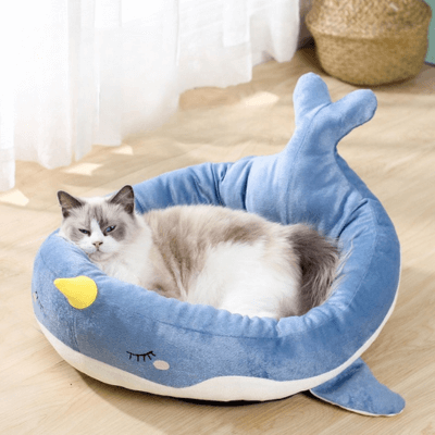 panier chat baleine bleu avec chat 