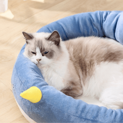 panier chat baleine bleue chat allongé de près 1