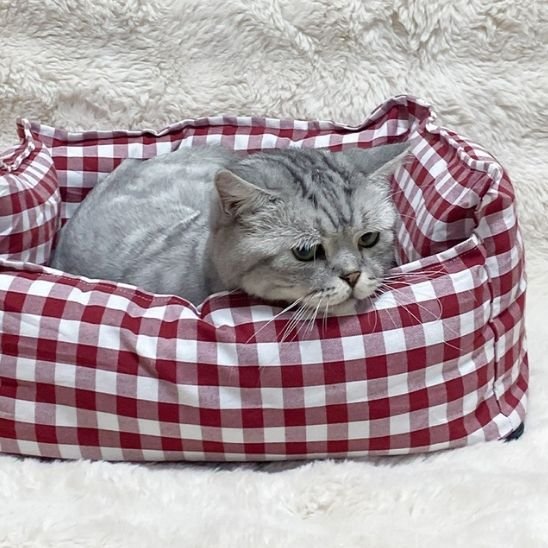 panier chat carreaux vichy rouge classique avec chat 