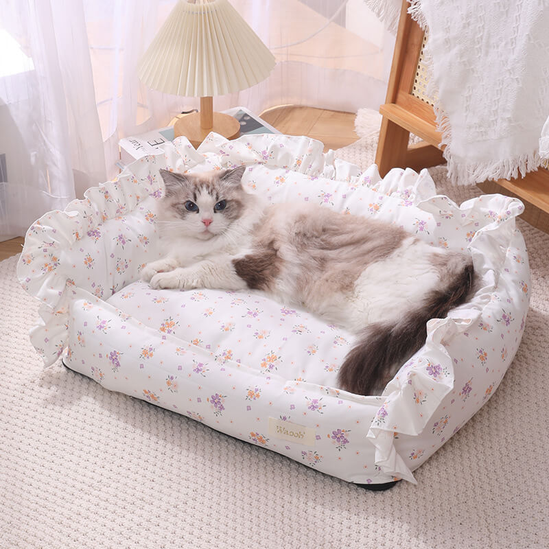 panier chat dentelle avec chat allongé