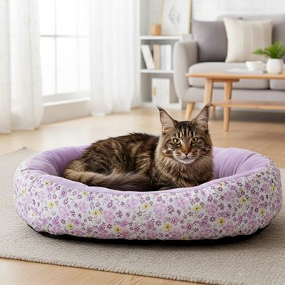 panier chat fleuri violet avec chat