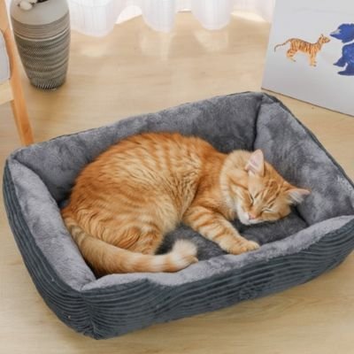 panier chat gris avec chat endormi