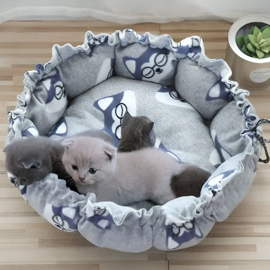 panier chat gris motif chiens avec chatons