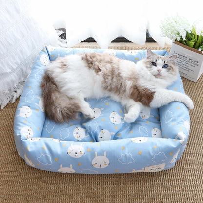 panier chat housse bleue lapin avec chat 