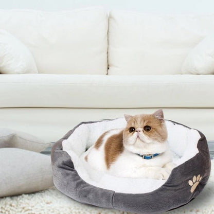 panier chat laine agneau avec chat allonge