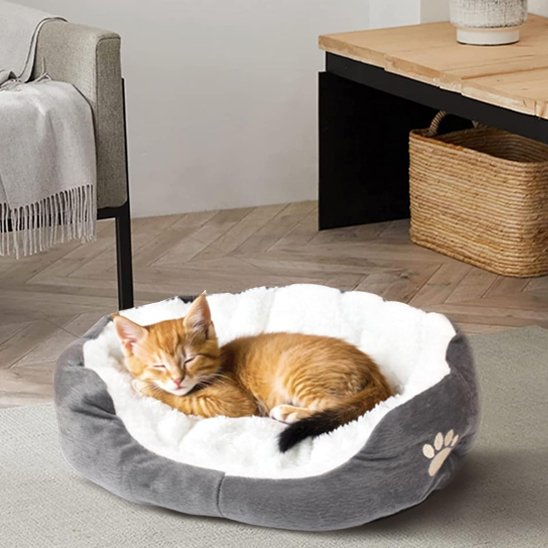 panier chat laine agneau avec chaton endormi 
