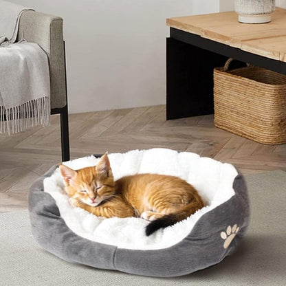 panier chat laine agneau avec chaton endormi 