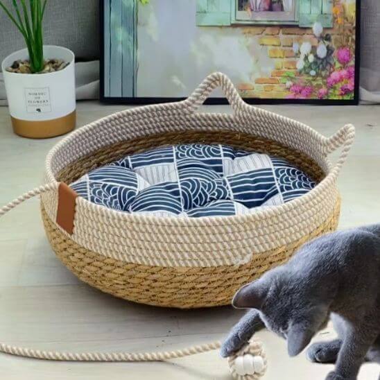 panier chat osier avec coussin bleu et chat jouant 
