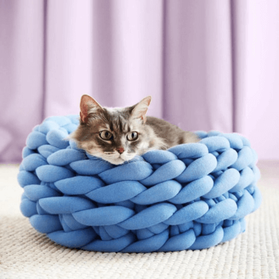 panier chat tressé bleu avec chat 