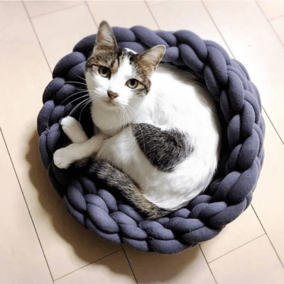 panier chat tressé bleu marine avec chat