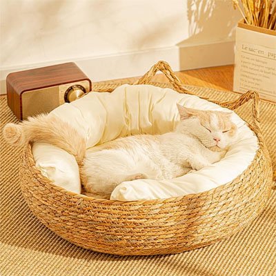 panier osier chat avec chat endormi