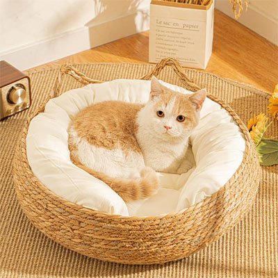panier osier chat avec chat enroulé éveillé 
