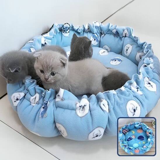 panier pour chat bleu avec chatons 1