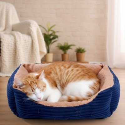 panier pour chat bleu beige chat endormi 