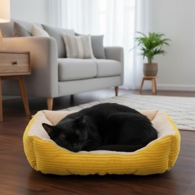 panier pour chat jaune blanc chat endormi 