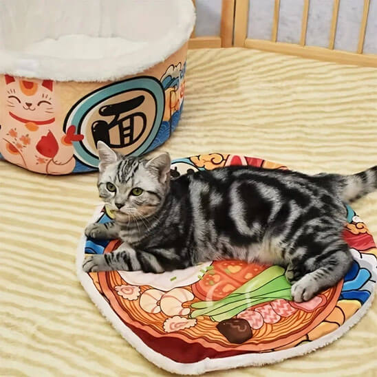 Panier pour chat | Mon Petit Ramen - Chats Malins
