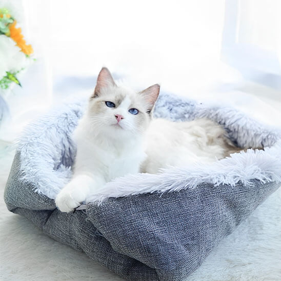 panier pour chat nid douillet gris avec chat 