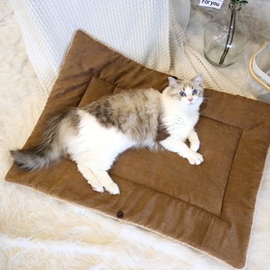 panier pour chat tapis nid enveloppant 