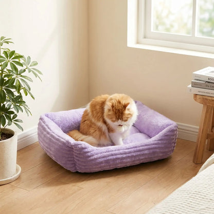 panier pour chat violet avec chat faisant toilette 