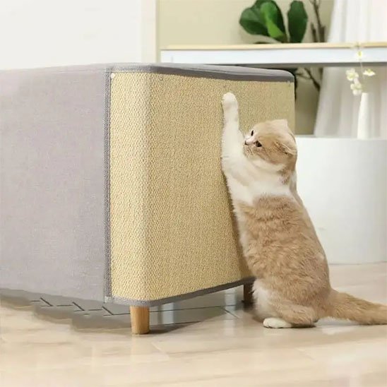 protection canapé chat avec chat griffant 2